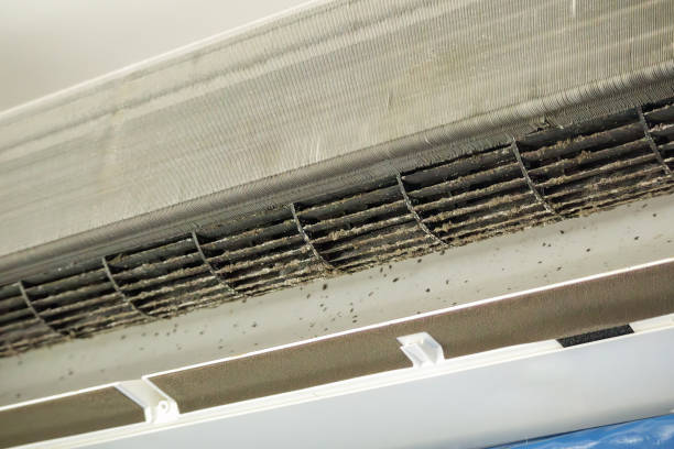 Best Residential Air Duct Cleaning in El Cerro, NM